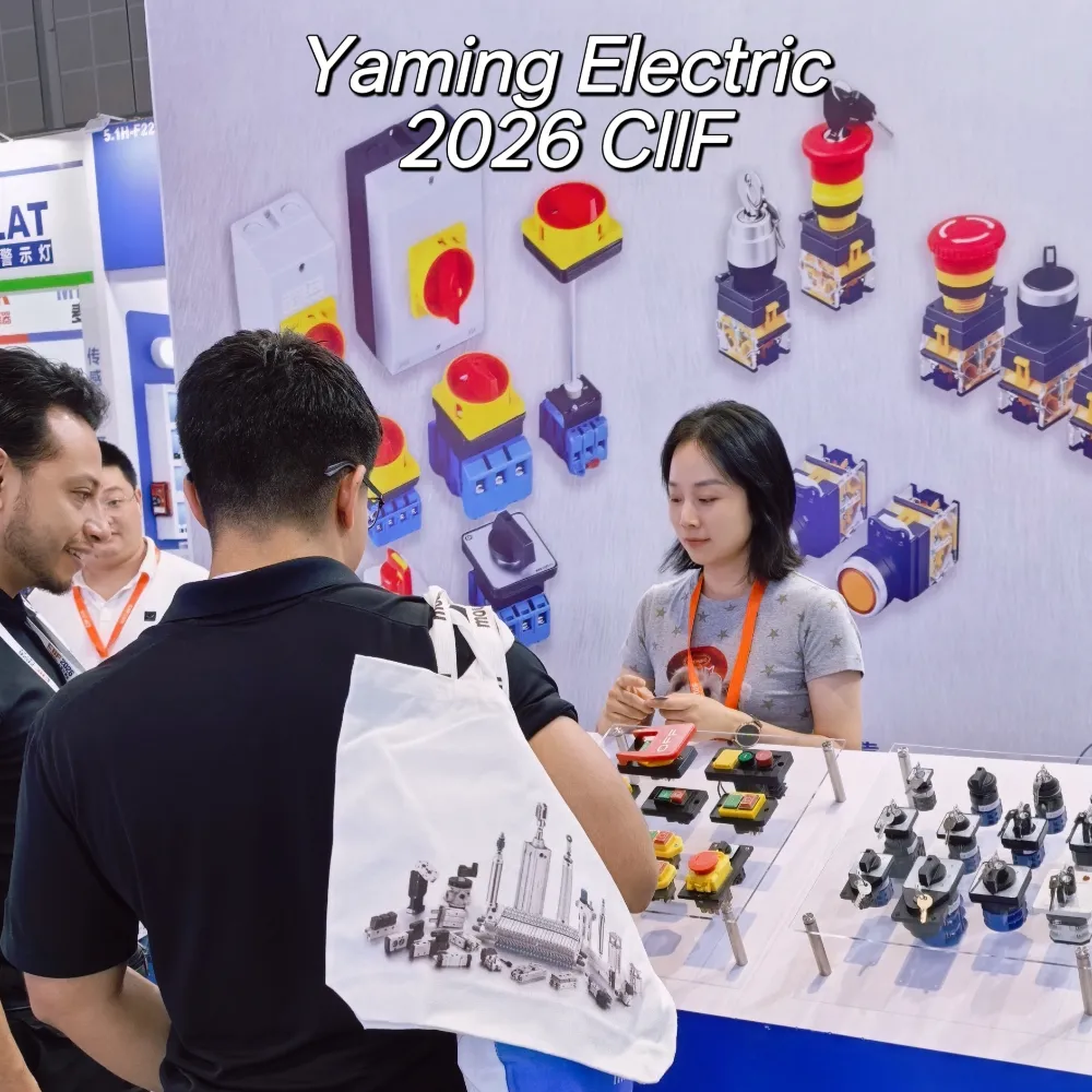 Trực tiếp CIIF 2026 | Chú thích chuyến tham quan gian hàng điện Yaming